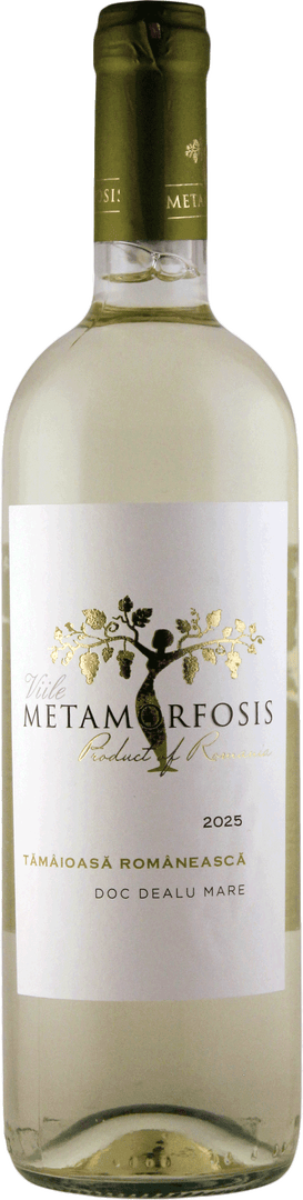 VIILE METAMORFOSIS Tamaioasa Romaneasca (Tamaioasa Romaneasca) DOC 2025